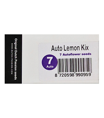 Auto Lemon Kix > Dutch Passion | NUESTRAS RECOMENDACIONES DE SEMILLAS DE MARIHUANA  |  TOP 10 Autoflorecientes