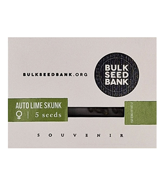 Auto Lime Skunk > Bulk Seed Bank | Graines Autofloraison  |  Sativa