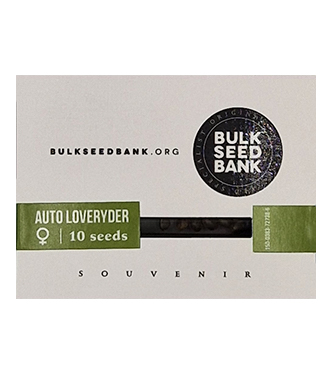 Auto Loveryder > Bulk Seed Bank | Semillas autoflorecientes  |  Híbrido