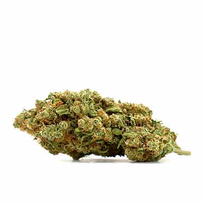 Mac Dawg XXL Auto > Silent Seeds | Autoflowering Hanfsamen  |  Hybrid