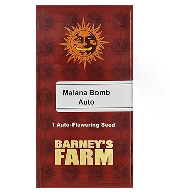 Malana Bomb > Barney\'s Farm | Graines Autofloraison  |  Indica