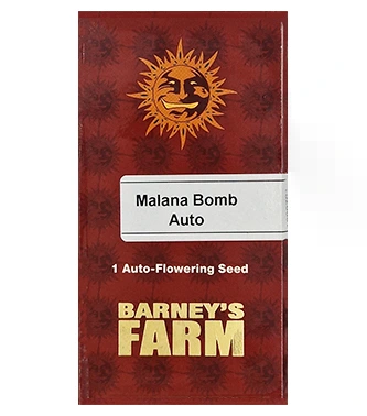 Malana Bomb > Barney\'s Farm | Autoflowering Hanfsamen  |  Indica