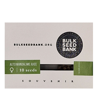 Auto Mandalime Juice > Bulk Seed Bank | Graines Autofloraison  |  Indica