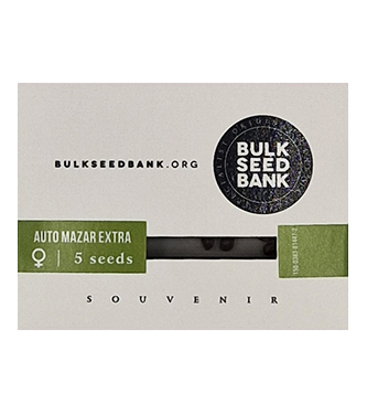 Auto Mazar Extra > Bulk Seed Bank | Autoflowering Hanfsamen  |  Indica