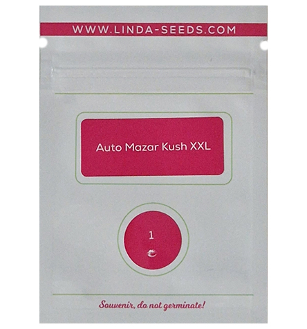 Auto Mazar Kush XXL > Linda Seeds | Cannabis seeds recommendations  |  Cheap Cannabis