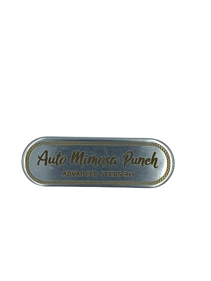 Auto Mimosa Punch > Advanced Seeds | Autoflowering Hanfsamen  |  Indica