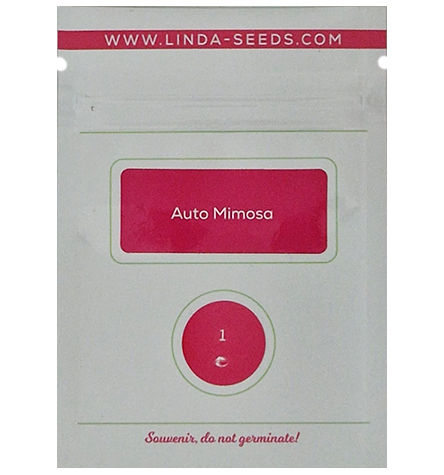 Auto Mimosa > Linda Seeds | Hanfsamen Empfehlungen  |  Günstige Hanfsamen