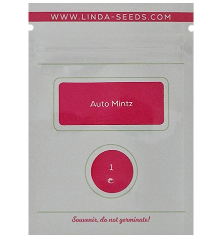 Auto Mintz > Linda Seeds | Autoflowering Hanfsamen  |  Indica
