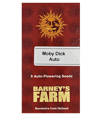 Moby Dick Auto > Barneys Farm | Autoflowering Hanfsamen  |  Sativa