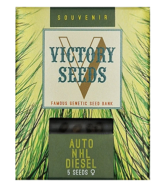 Auto NHL Diesel > Victory Seeds | Autoflowering Cannabis   |  Hybrid