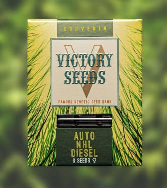 Auto NHL Diesel > Victory Seeds | Semillas autoflorecientes  |  Híbrido