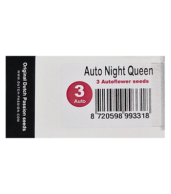 Auto Night Queen > Dutch Passion | Semillas autoflorecientes  |  Índica