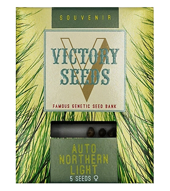 Auto Northern Light > Victory Seeds | Autoflowering Hanfsamen  |  Hybrid