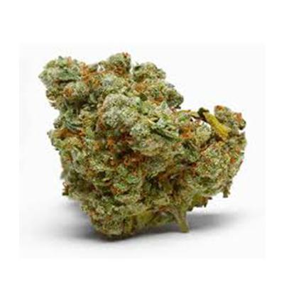 Auto Nova OG > Anesia Seeds | Semillas de marihuana autoflorecientes  |  Índica
