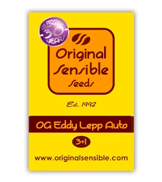 Auto OG Eddy Lepp > Original Sensible Seeds | Autoflowering Cannabis   |  Hybrid