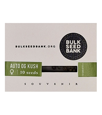 Auto OG Kush > Bulk Seed Bank | Semillas autoflorecientes  |  Híbrido