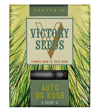 Auto OG Kush > Victory Seeds | Semillas autoflorecientes  |  Híbrido