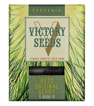 Auto Original Berry > Victory Seeds | Semillas autoflorecientes  |  Híbrido