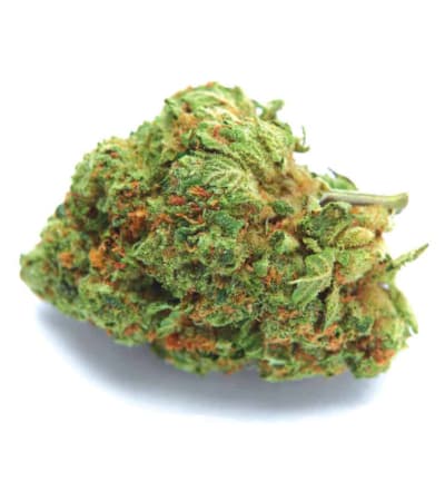 Auto Original Orange Bud > Bulk Seed Bank | Autoflowering Cannabis   |  Hybrid