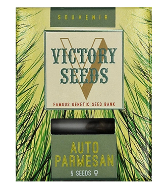 Auto Parmesan > Victory Seeds | Semillas autoflorecientes  |  Híbrido