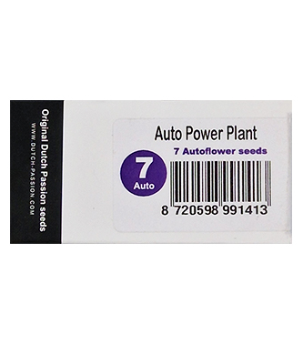 Auto Power Plant > Dutch Passion | Graines Autofloraison  |  Sativa