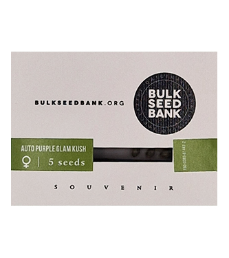 Auto Purple Glam Kush > Bulk Seed Bank | Semillas de marihuana autoflorecientes  |  Híbrido