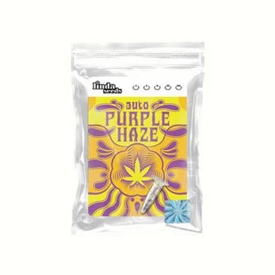Auto Purple Haze Samen > Linda Seeds | Autoflowering Hanfsamen  |  Sativa
