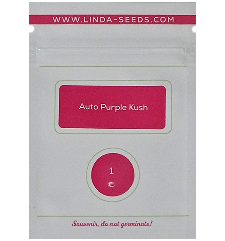Auto Purple Kush > Linda Seeds | Hanfsamen Empfehlungen  |  Günstige Hanfsamen