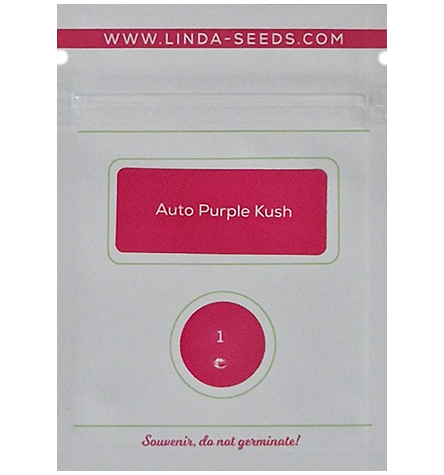 Auto Purple Kush > Linda Seeds | Cannabis seeds recommendations  |  Cheap Cannabis