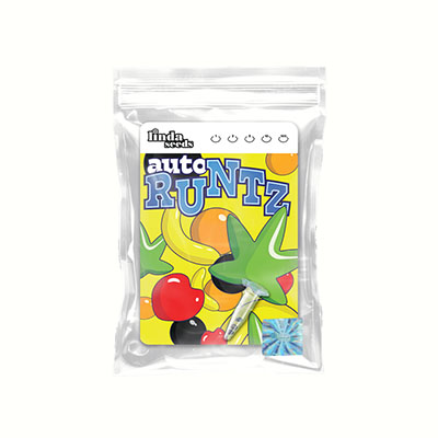 Runtz Auto semilla > Linda Seeds | NUESTRAS RECOMENDACIONES DE SEMILLAS DE MARIHUANA  |  Semillas Baratas
