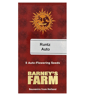 Runtz Auto > Barneys Farm | Autoflowering Hanfsamen  |  Indica