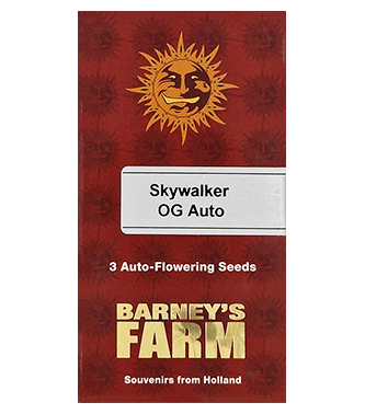 Skywalker OG Auto > Barneys Farm | Graines Autofloraison  |  Indica