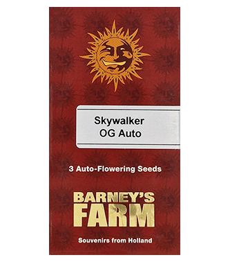 Skywalker OG Auto > Barneys Farm | Semillas autoflorecientes  |  Índica