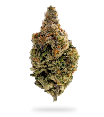 Auto Banana Strawberry > Graines en Gros | Graines Autofloraison  |  Hybride