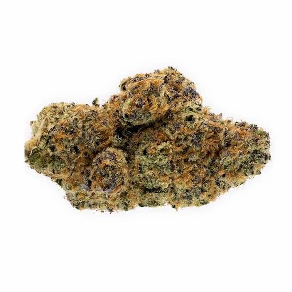 Auto Strawberry Haze graines > Vision Seeds | Graines de cannabis autoflo  |  Indica