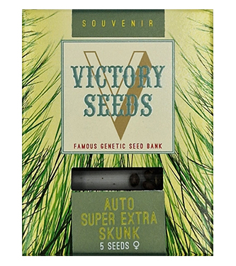 Auto Super Extra Skunk > Victory Seeds | Autoflowering Cannabis   |  Hybrid