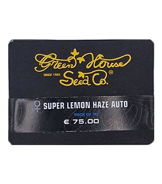 Super Lemon Haze Automatic > Green House Seed Company | Autoflowering Hanfsamen  |  Sativa