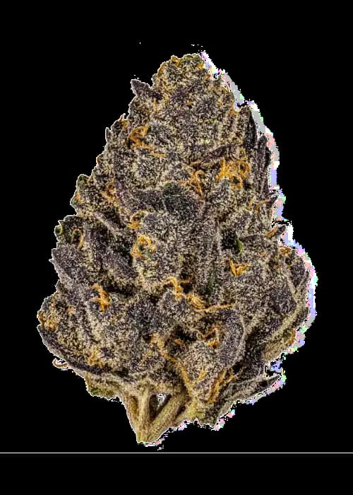 Auto Thin Mint x Sour Pinot > Barney\'s Farm | Autoflowering Hanfsamen  |  Hybrid