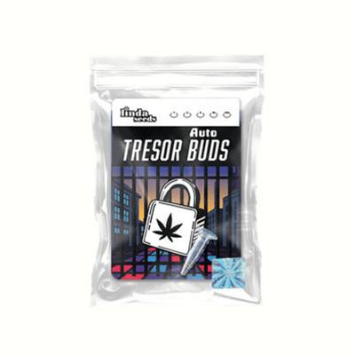 Auto Tresor Buds Samen > Linda Seeds | Autoflowering Hanfsamen  |  Hybrid