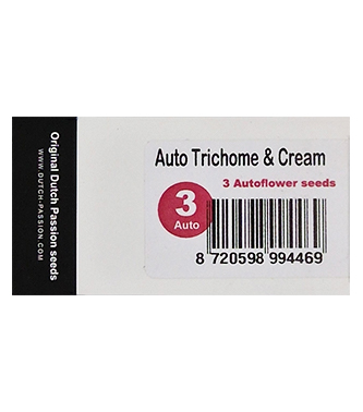 Auto Trichome & Cream > Dutch Passion | Autoflowering Hanfsamen  |  Hybrid