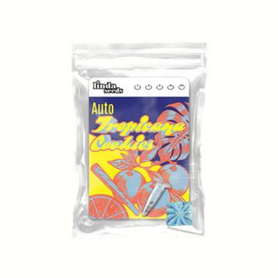 Auto Tropicana Cookies Seed > Linda Seeds | Autoflowering Cannabis   |  Indica