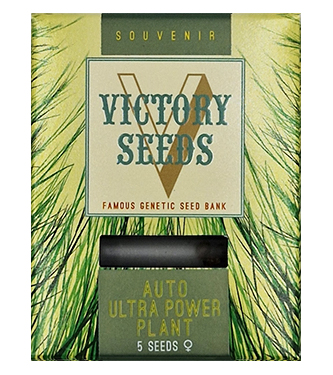 Auto Ultra Power Plant > Victory Seeds | Semillas autoflorecientes  |  Híbrido