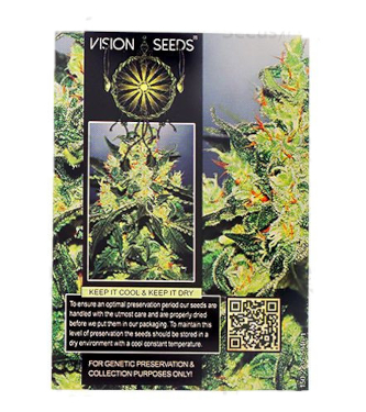 Auto Vision Jack > Vision Seeds | Graines Autofloraison  |  Indica