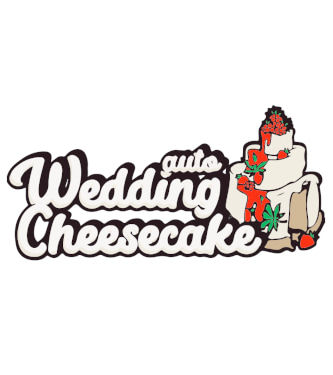 Wedding Cheesecake Auto > Fast Buds Company | Autoflowering Hanfsamen  |  Sativa