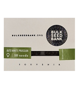 Auto White Prussian > Bulk Seed Bank | Autoflowering Hanfsamen  |  Hybrid