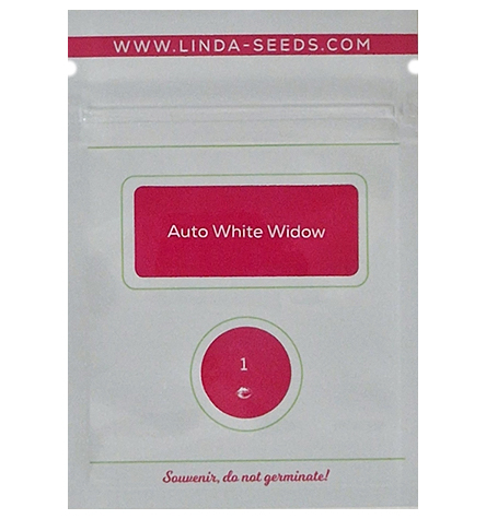 Auto White Widow > Linda Seeds | Hanfsamen Empfehlungen  |  Günstige Hanfsamen