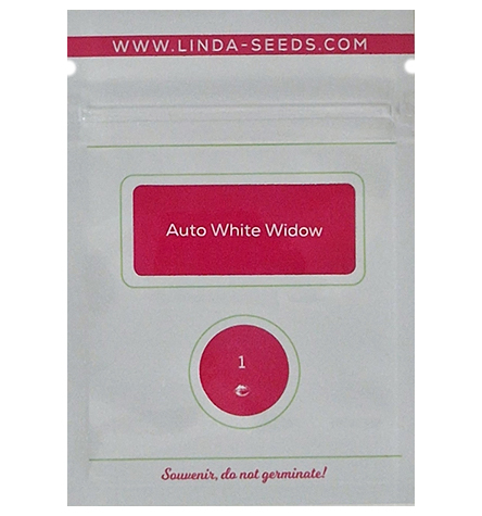 Auto White Widow > Linda Seeds | NUESTRAS RECOMENDACIONES DE SEMILLAS DE MARIHUANA  |  Semillas Baratas