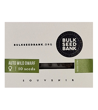 Auto Wild Dwarf > Bulk Seed Bank | Autoflowering Hanfsamen  |  Indica