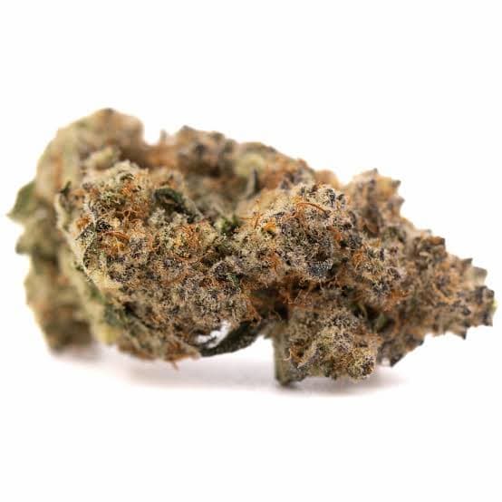 Auto Zunami Peach semilla > 00 Seeds Bank | Semillas de marihuana autoflorecientes  |  Híbrido