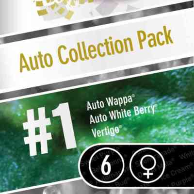 Auto Collection Pack #1 > Paradise Seeds | Graines Autofloraison  |  Hybride